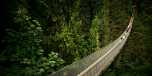 Vancouver - City Tour &amp; Pont Suspendu Capilano