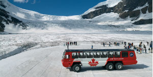 Jasper - Excursie op de Athabasca gletsjer