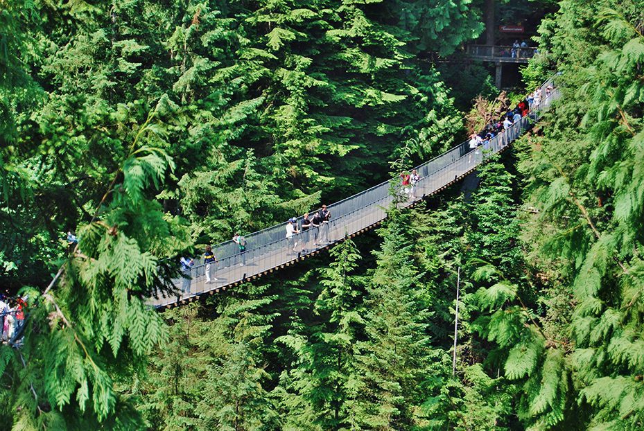 Capilano Bridge