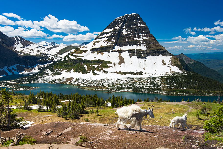 Montana Glacier NP